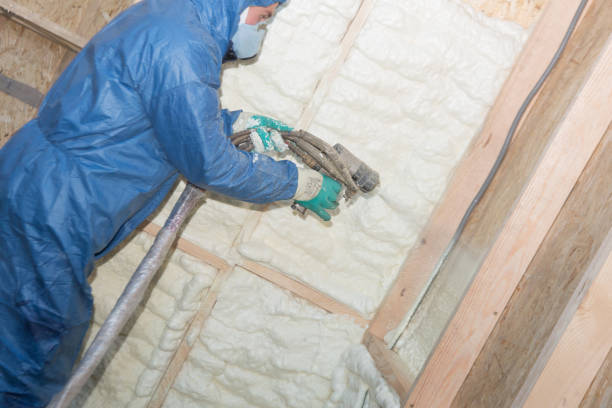 Eco-Friendly or Green Insulation Solutions in Cameron, TX